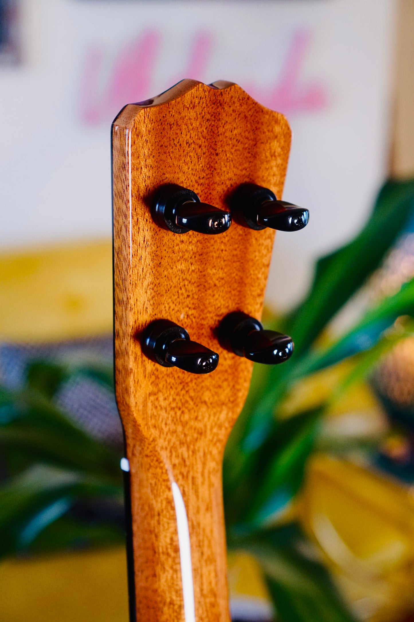 One-of-a-Kind Solid Mango Wood Signature Romero Tenor Ukulele Bundle