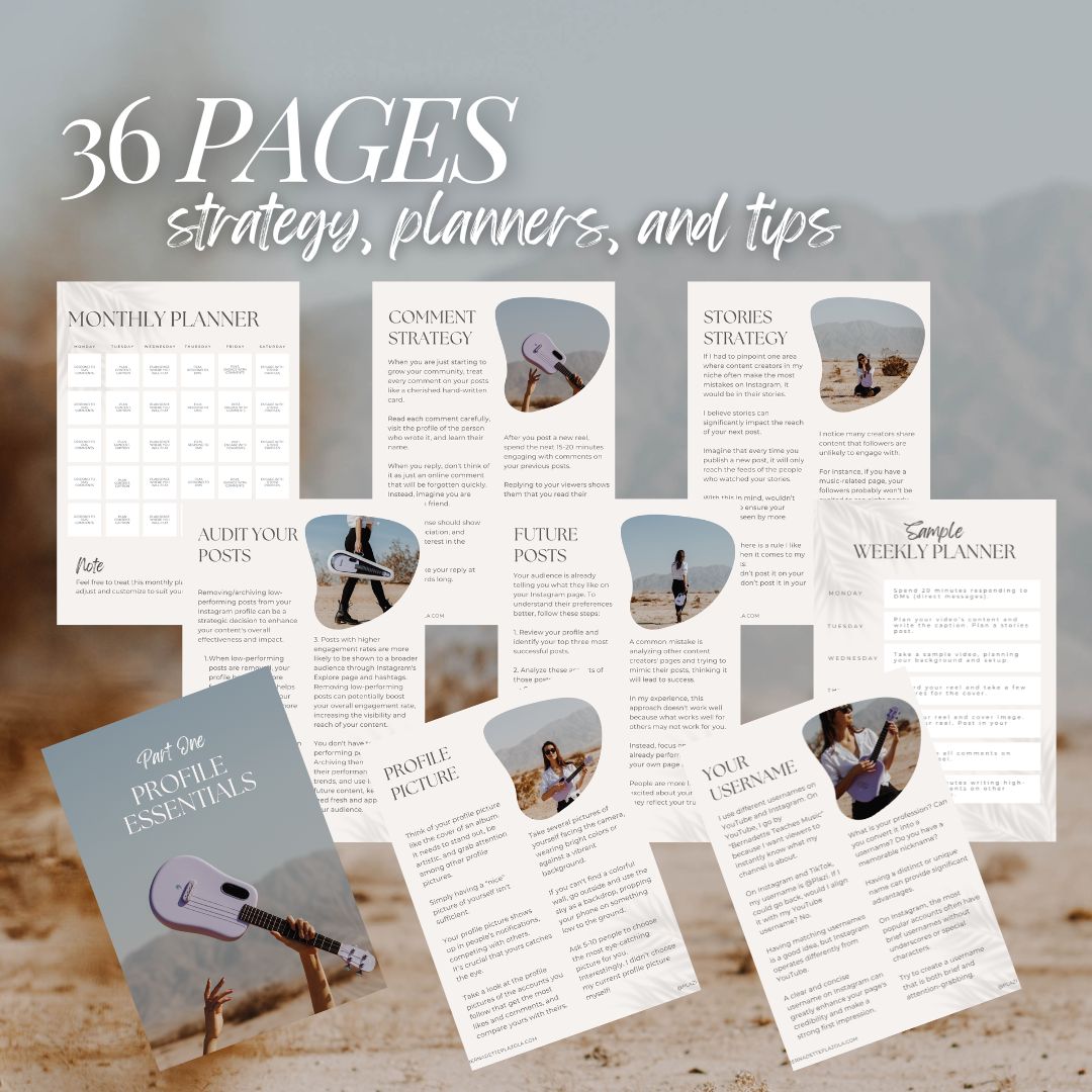 Instagram Growth Guidebook (Ebook) Instant Download