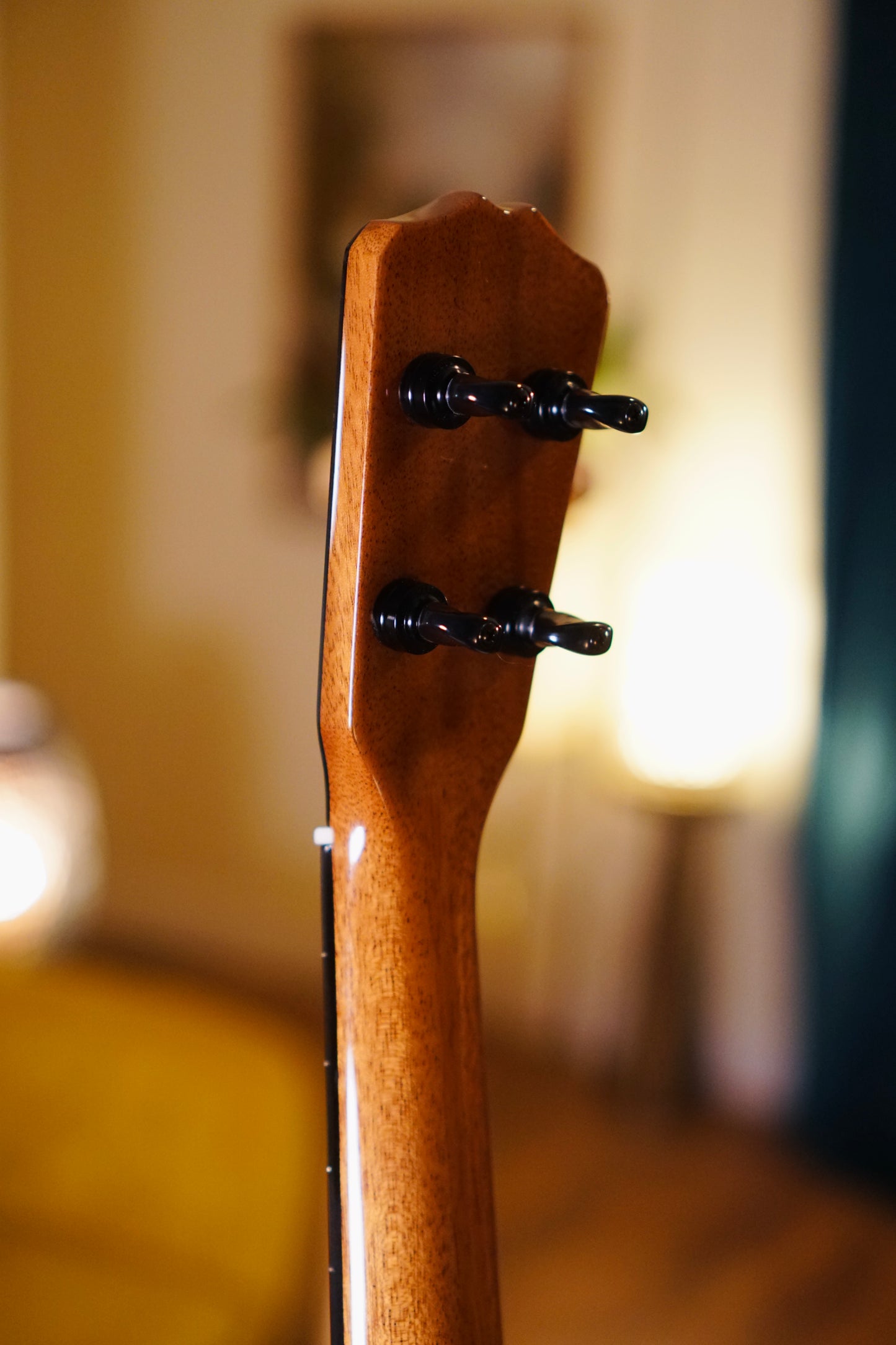 One-of-a-Kind Solid Mango Wood Signature Romero Tenor Ukulele Bundle