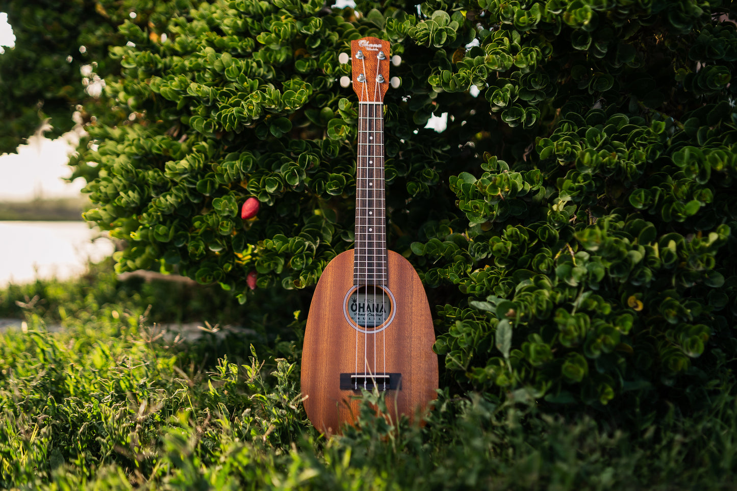 ๐ Ohana PKC-10 Pineapple Ukulele โ Back in Stock!