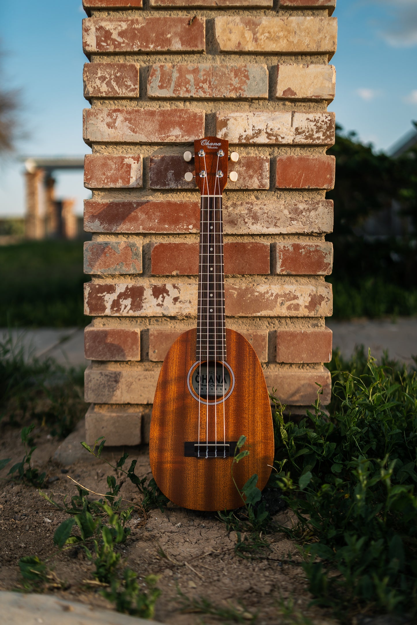๐ Ohana PKC-10 Pineapple Ukulele โ Back in Stock!