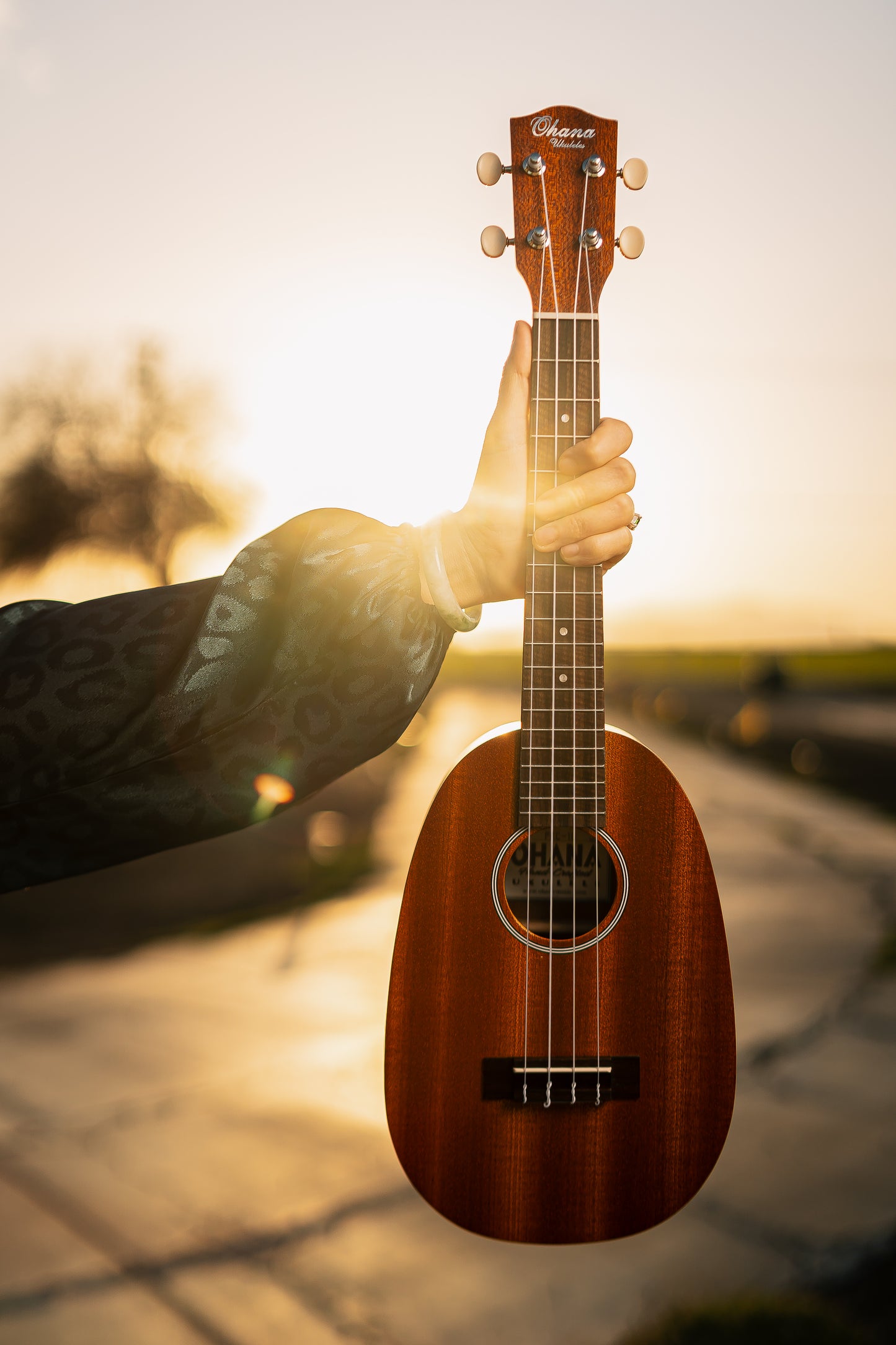 ๐ Ohana PKC-10 Pineapple Ukulele โ Back in Stock!