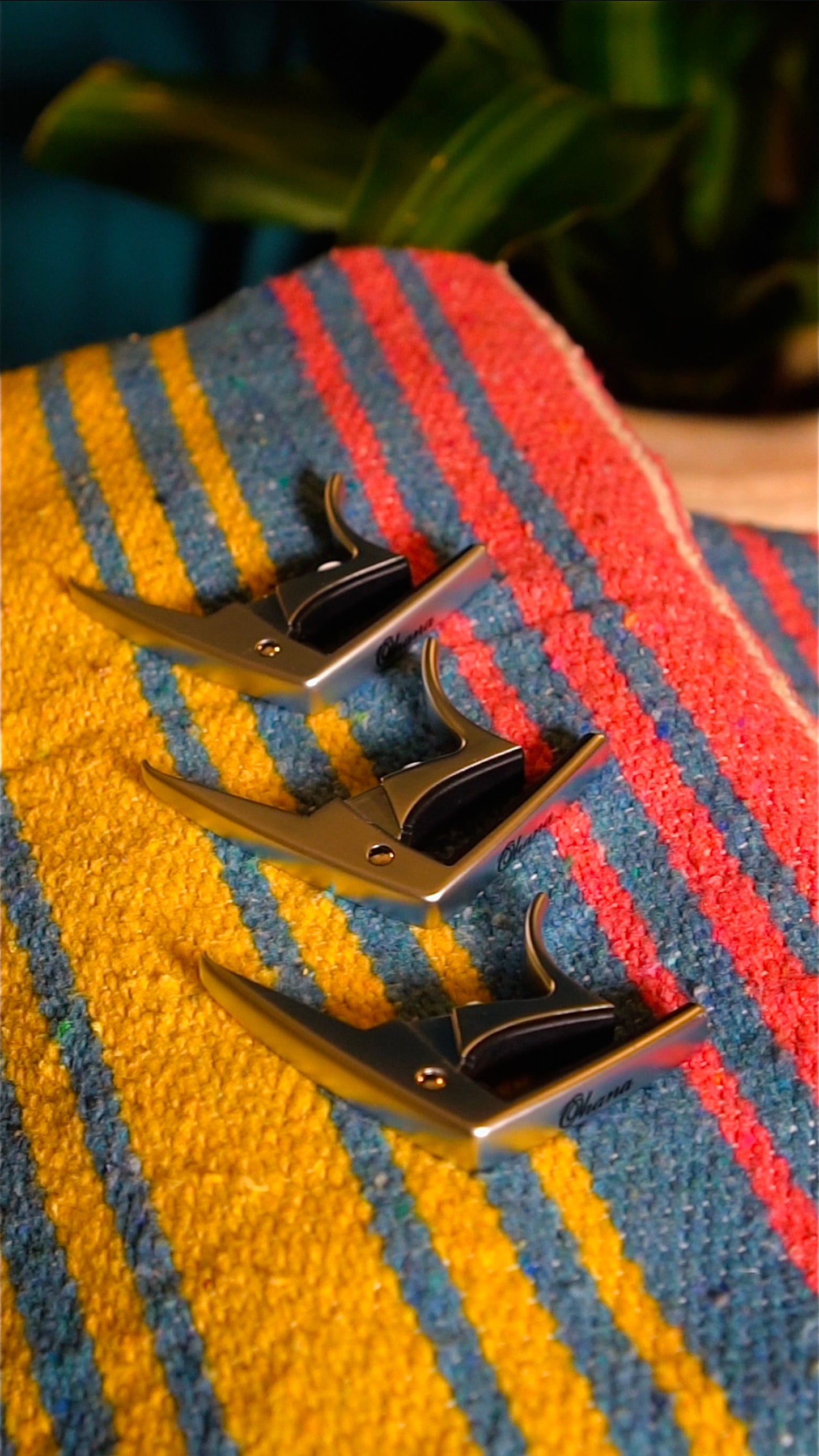 Ukulele Capo – Quick & Easy Chord Changes!