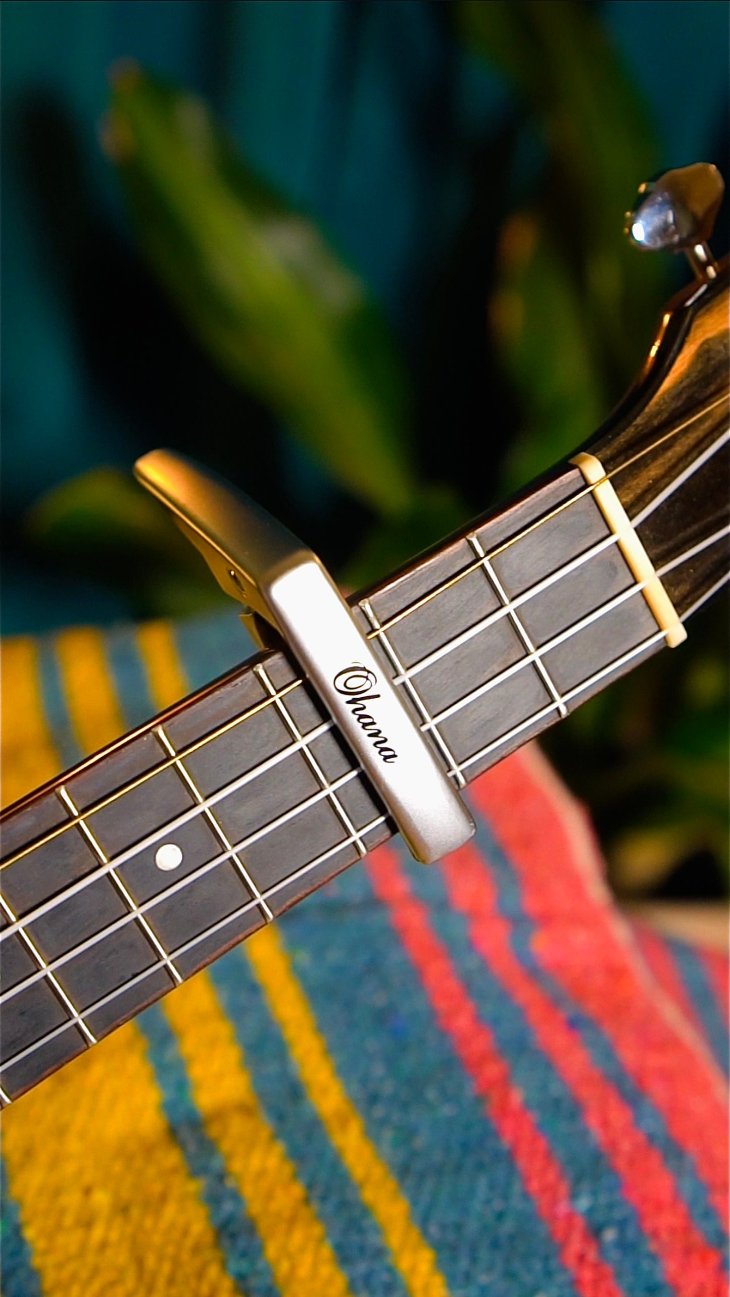 Ukulele Capo – Quick & Easy Chord Changes!