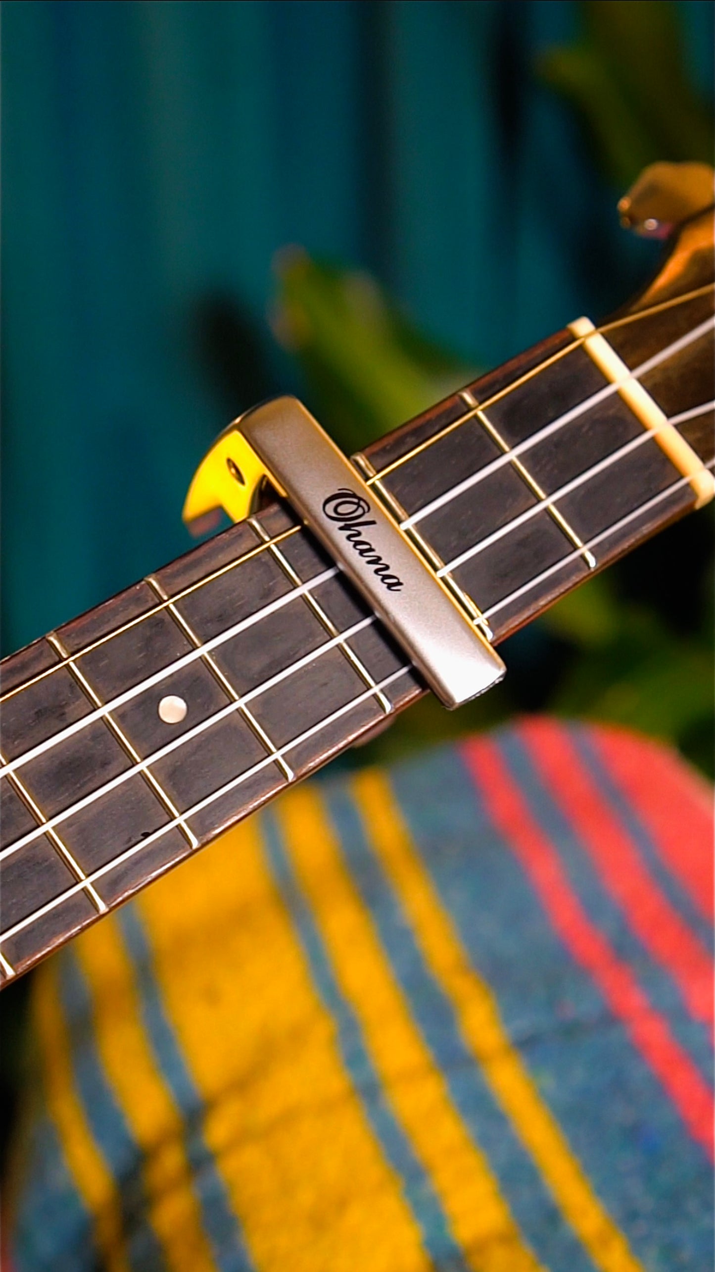 Ukulele Capo – Quick & Easy Chord Changes!