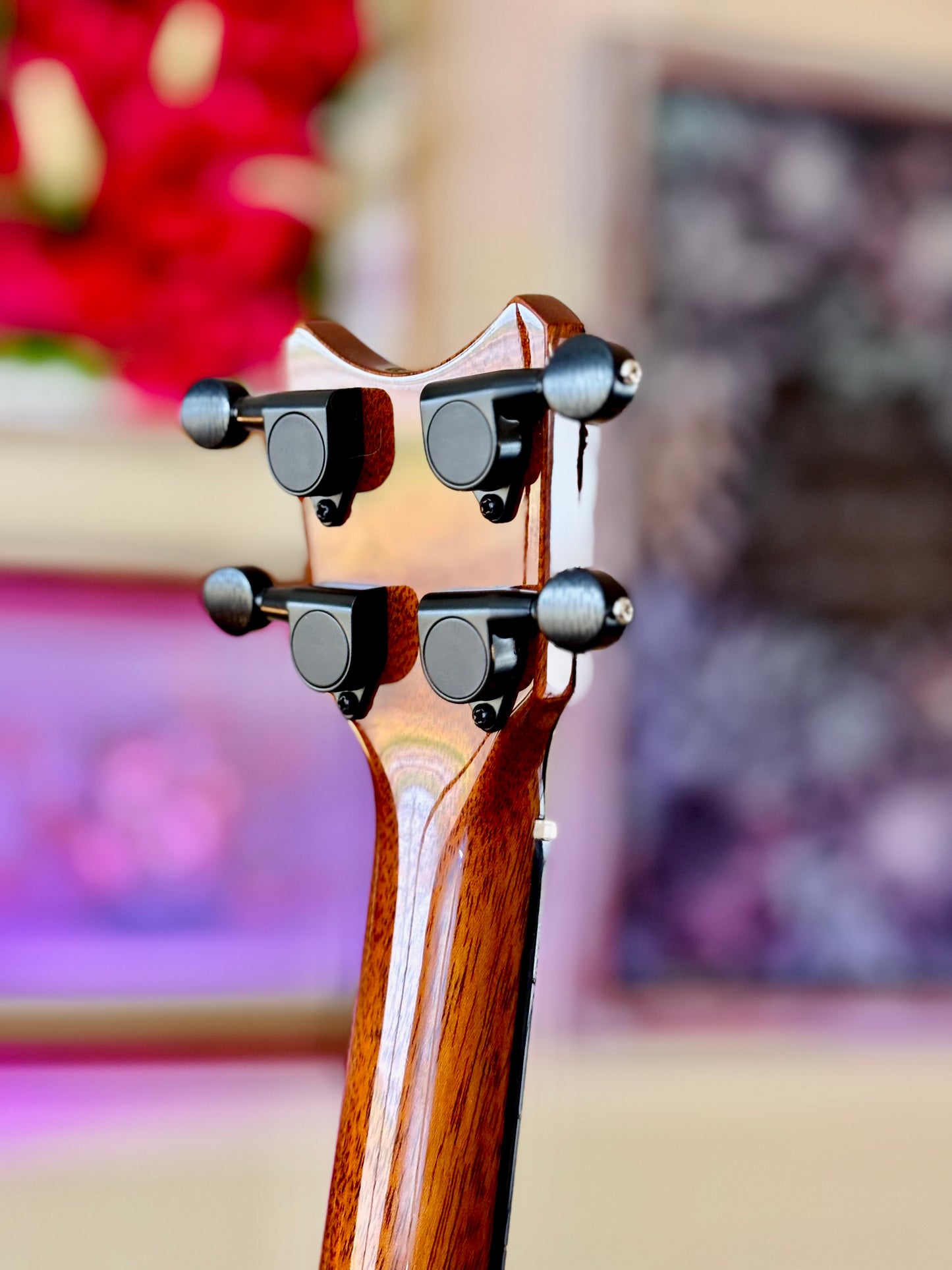 Romero Creations Daniel Ho Tiny Tenor – Solid Mango Low G Ukulele Bundle (Gig Bag + Humidifier + Free Shipping)