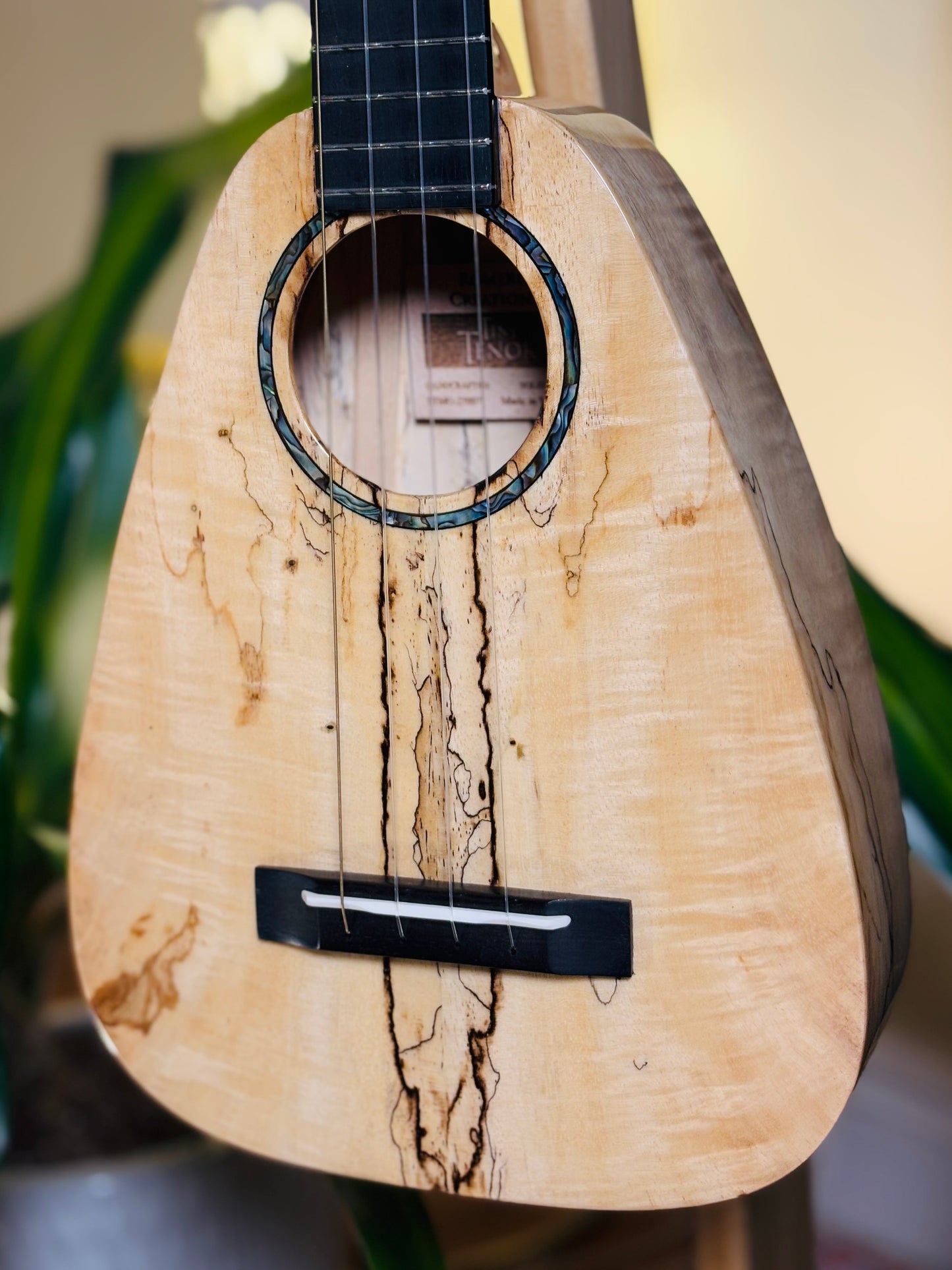 Romero Creations: Daniel Ho Tiny Tenor | Low G Solid Mango Wood Ukulele Bundle + Complimentary Shipping