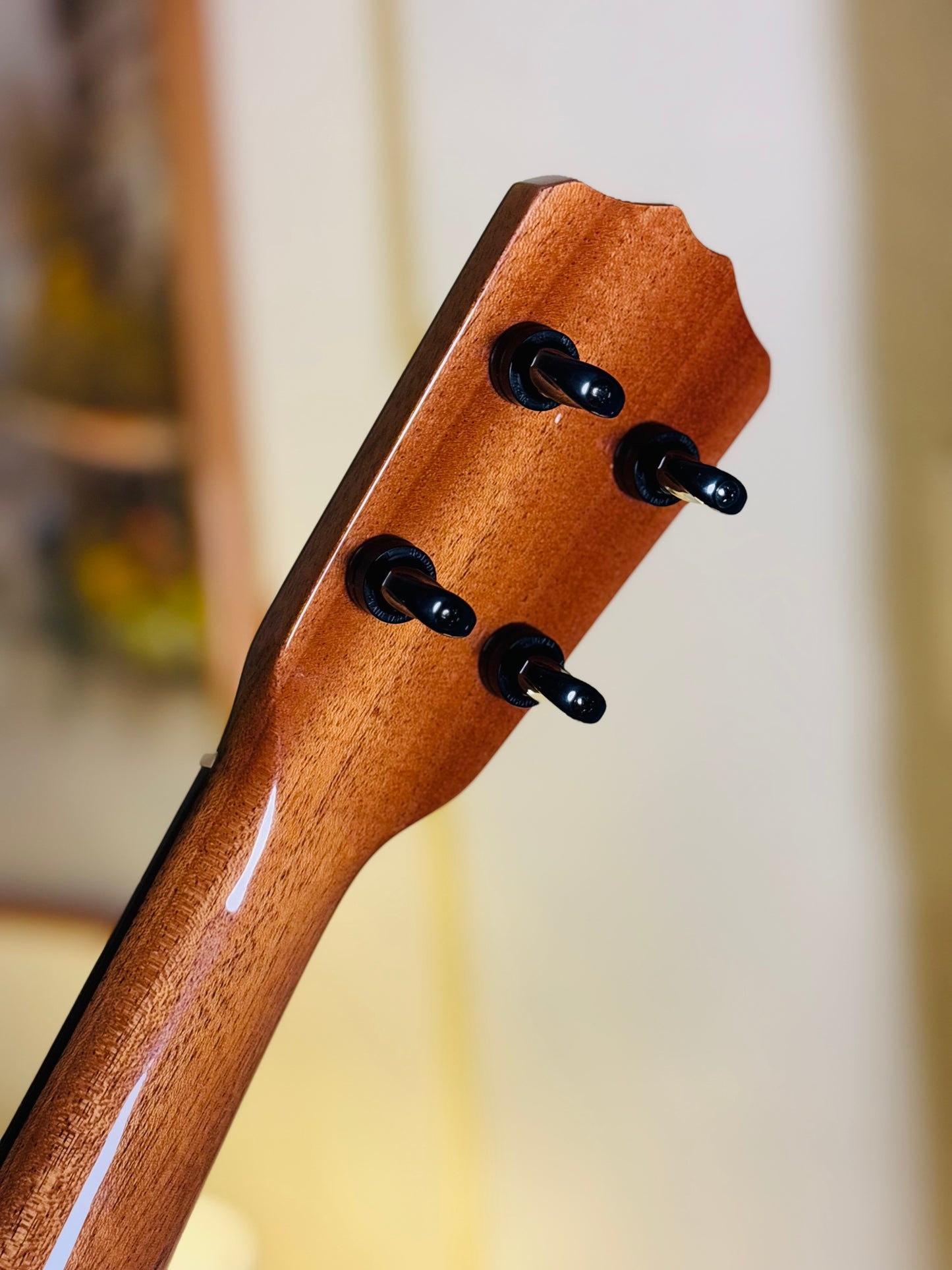 One-of-a-Kind Solid Mango Wood Signature Romero Tenor Ukulele Bundle