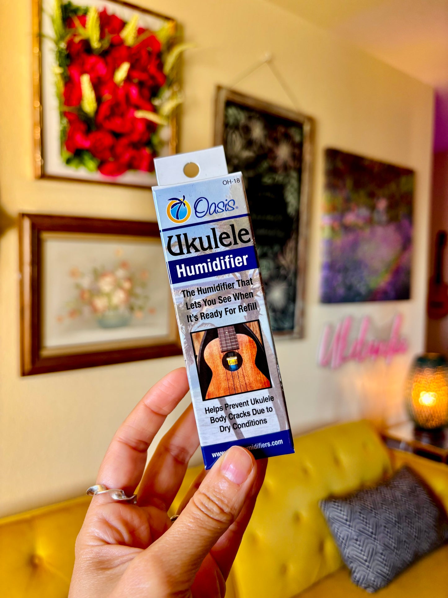 Oasis Humidifier + Free Shipping