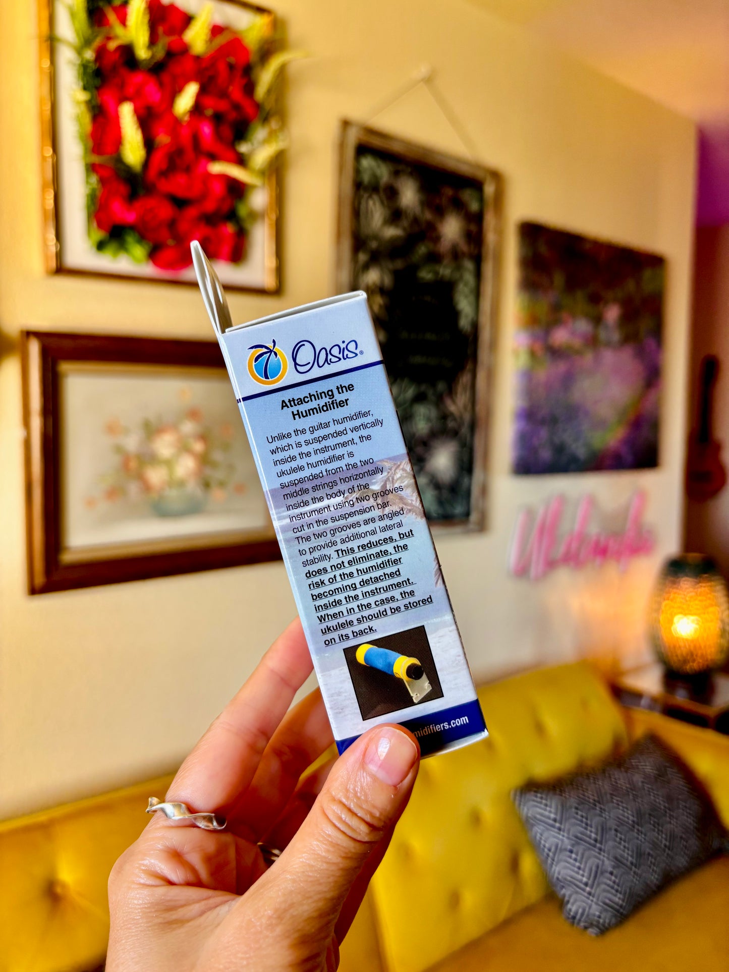 Oasis Humidifier + Free Shipping