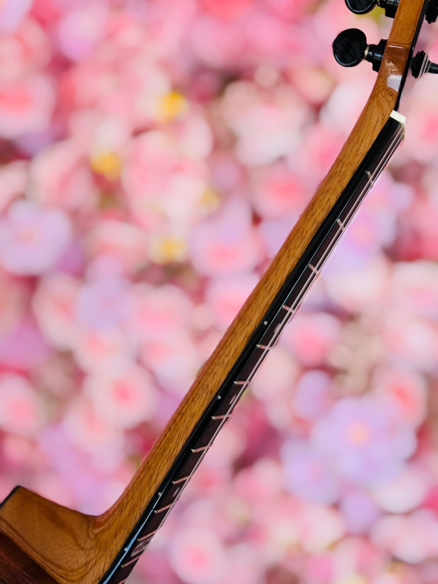 ʻEkolu Tiny Tenor – Limited Edition 10th Anniversary Model
